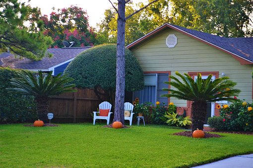clean lawn of a house