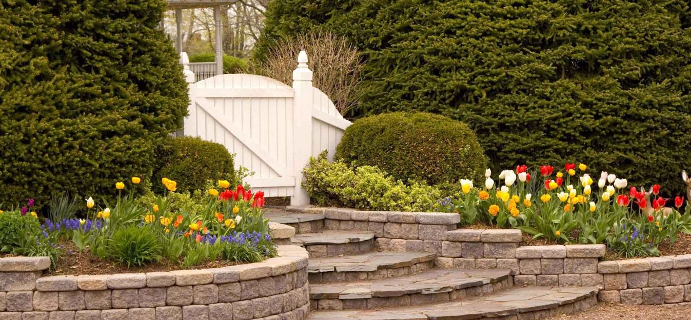 landscaping