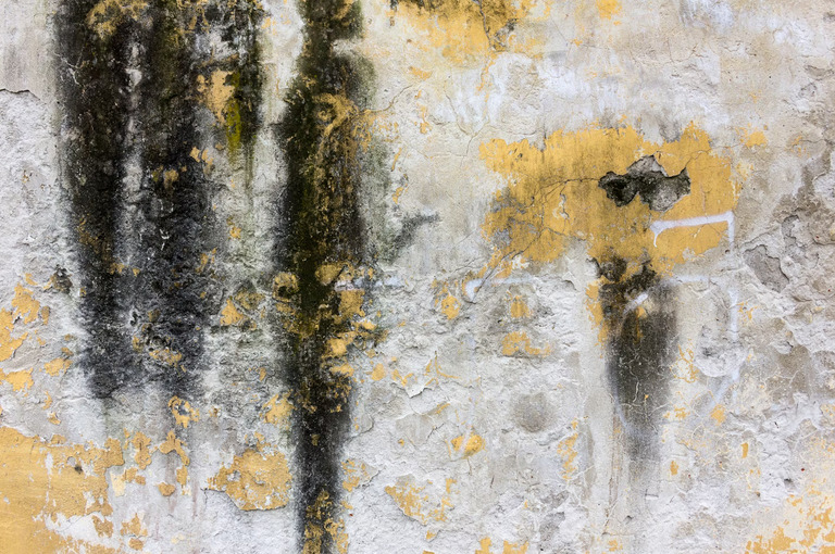 Crack Walls or Ceiling
